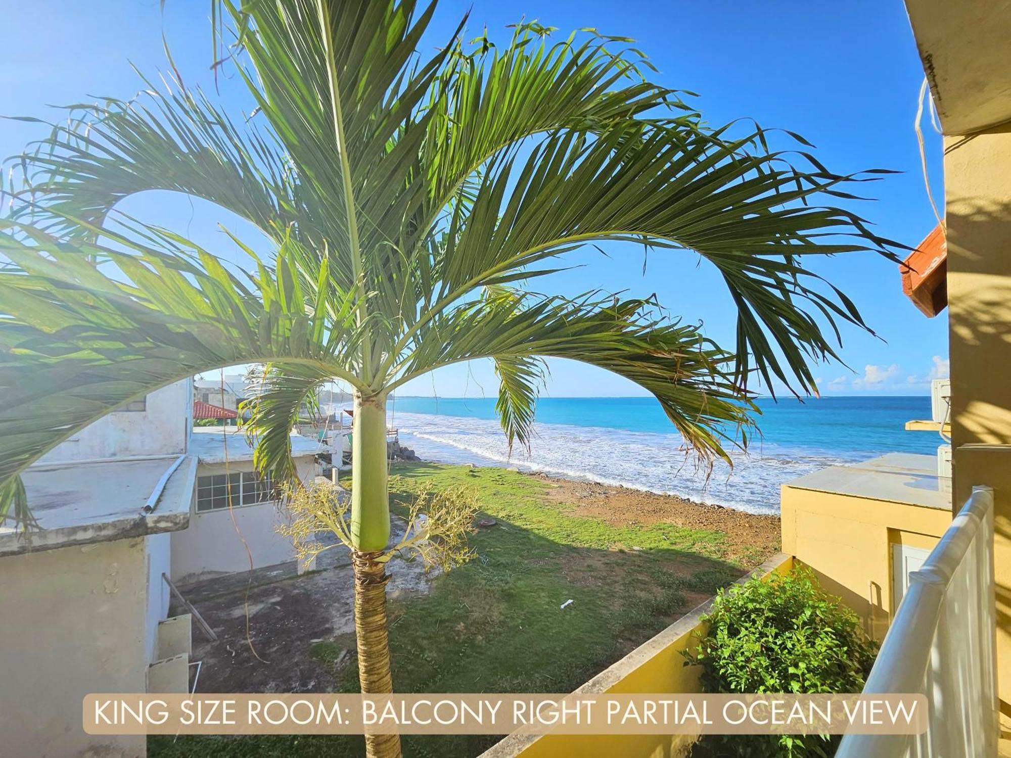 Selva Boutique Hotel - Luquillo Oceanfront Retreat - Adults Only מראה חיצוני תמונה